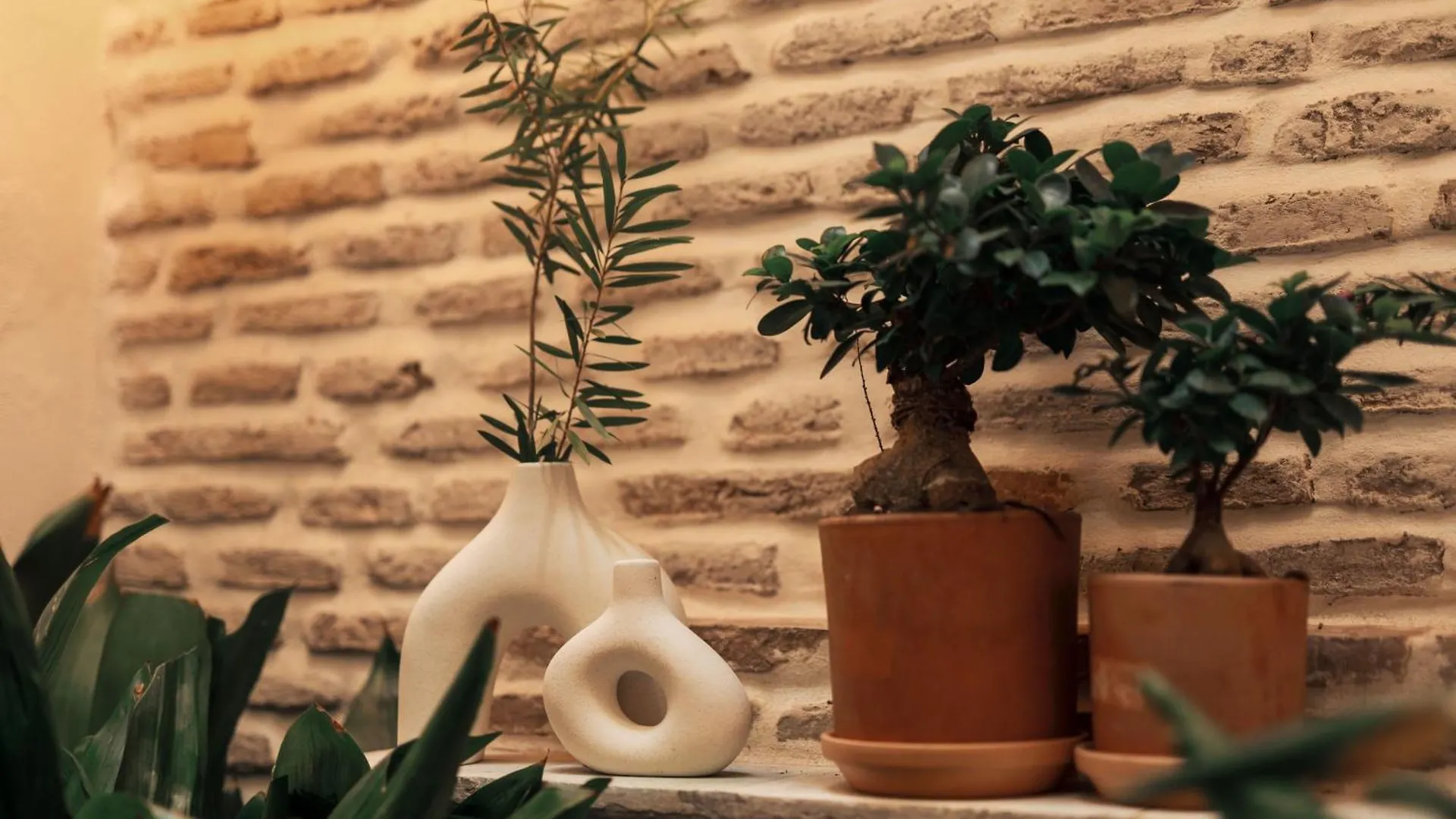 **  Hotel Boutique Escudo Del Carmen Granada Spain